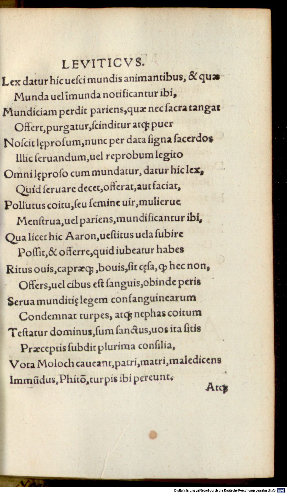 Image