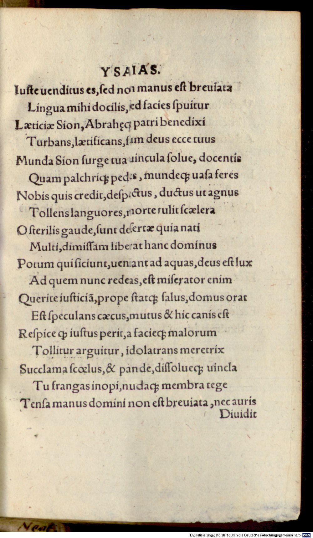 Image