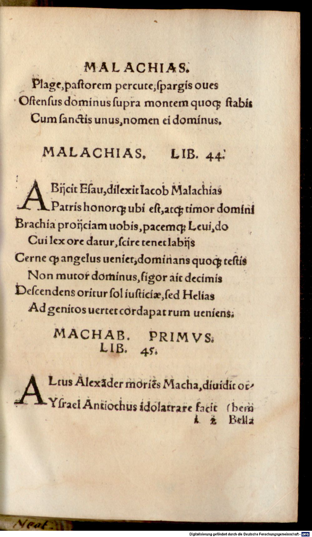 Image