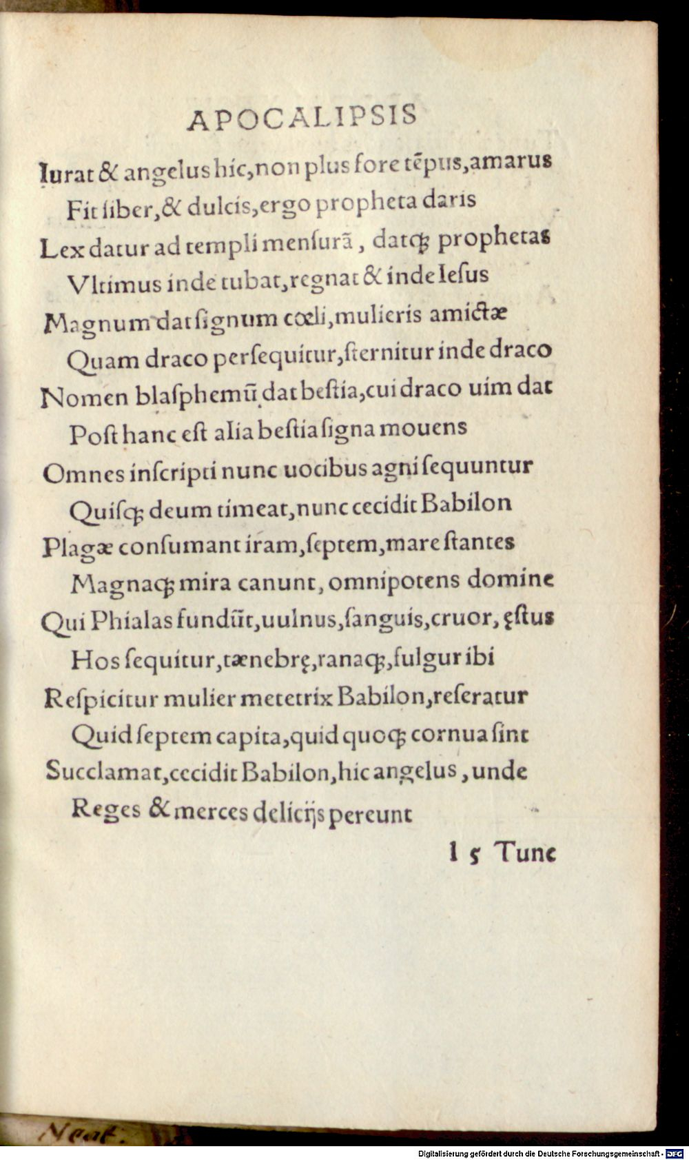 Image