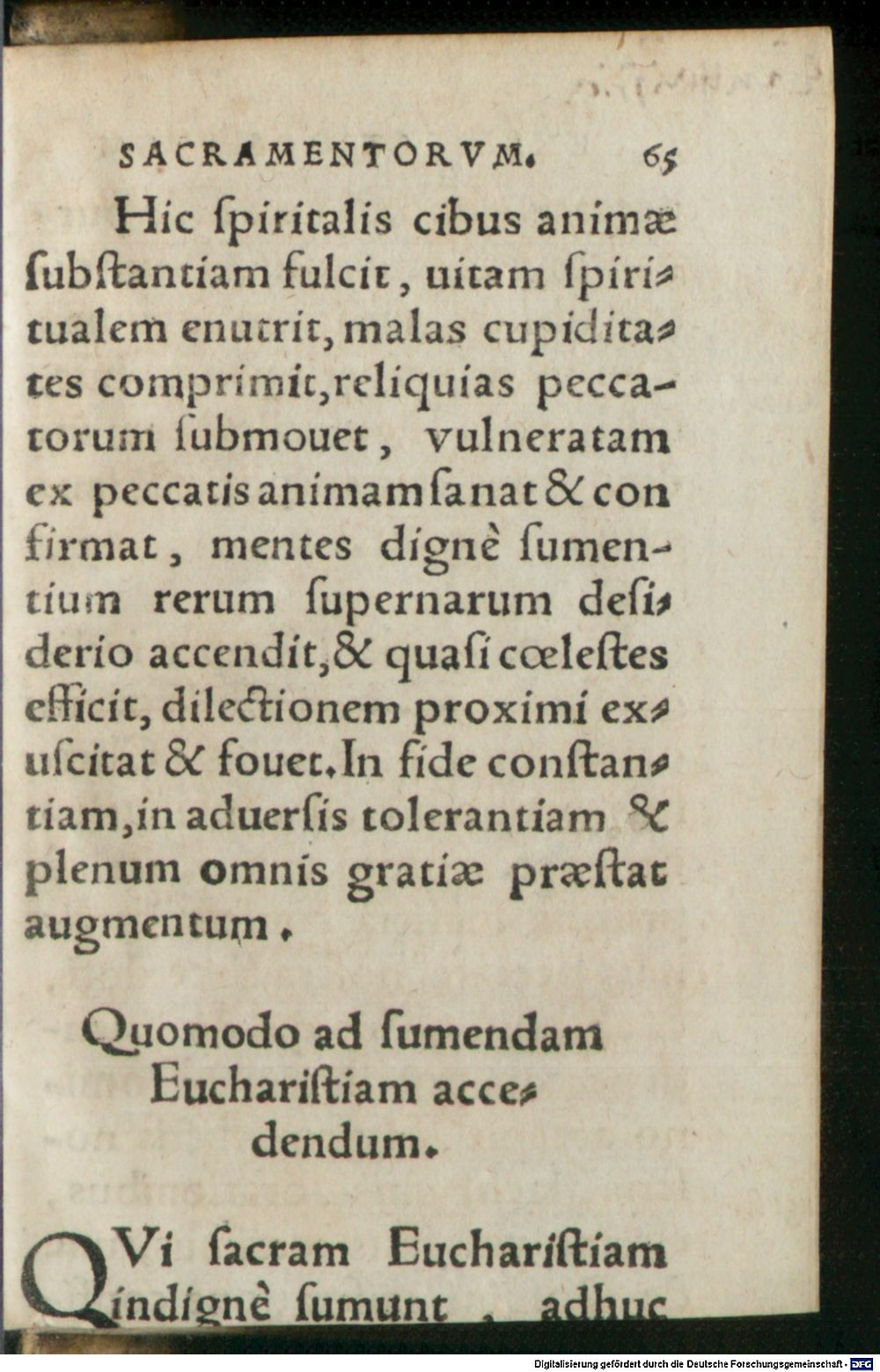 Image