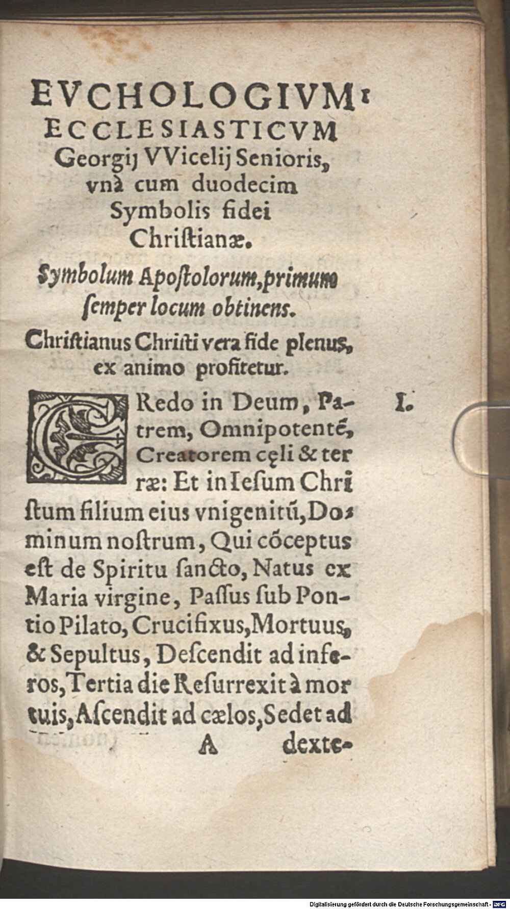Image