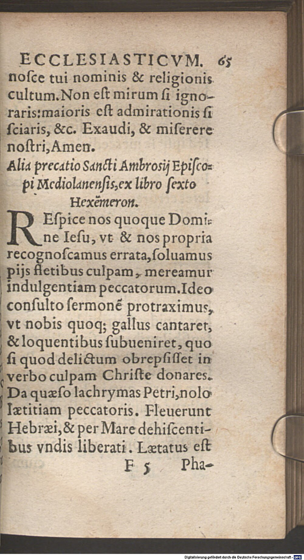 Image