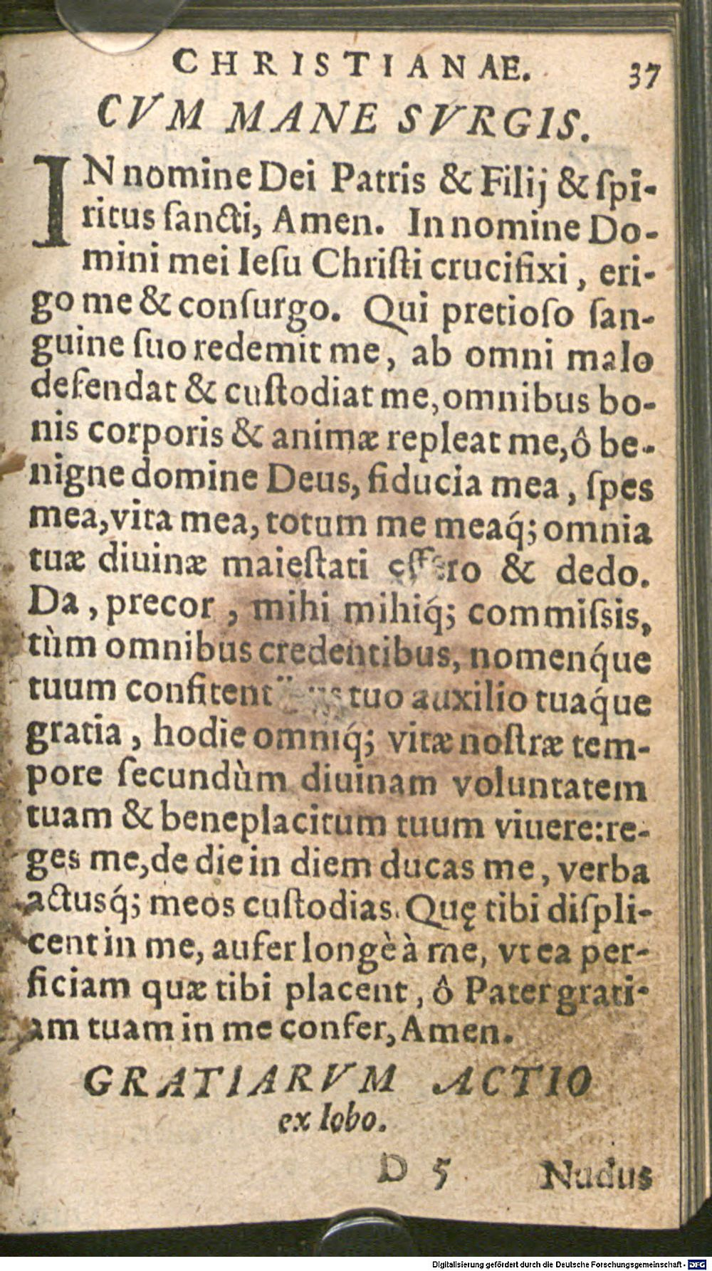 Image