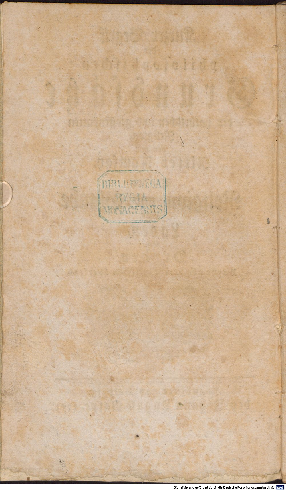 Image