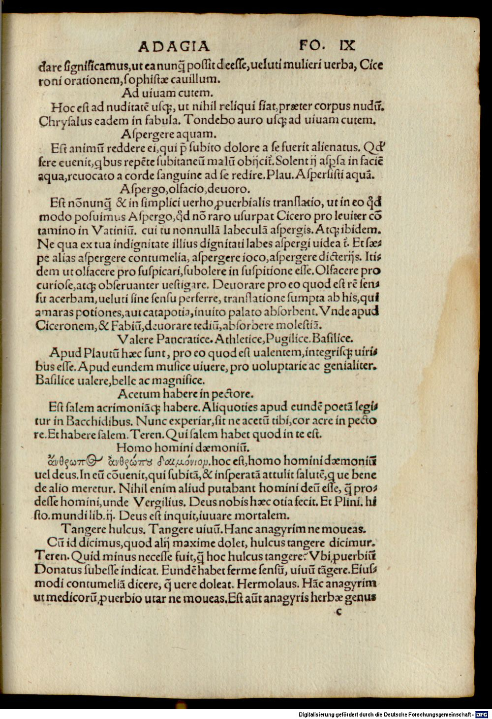 Image