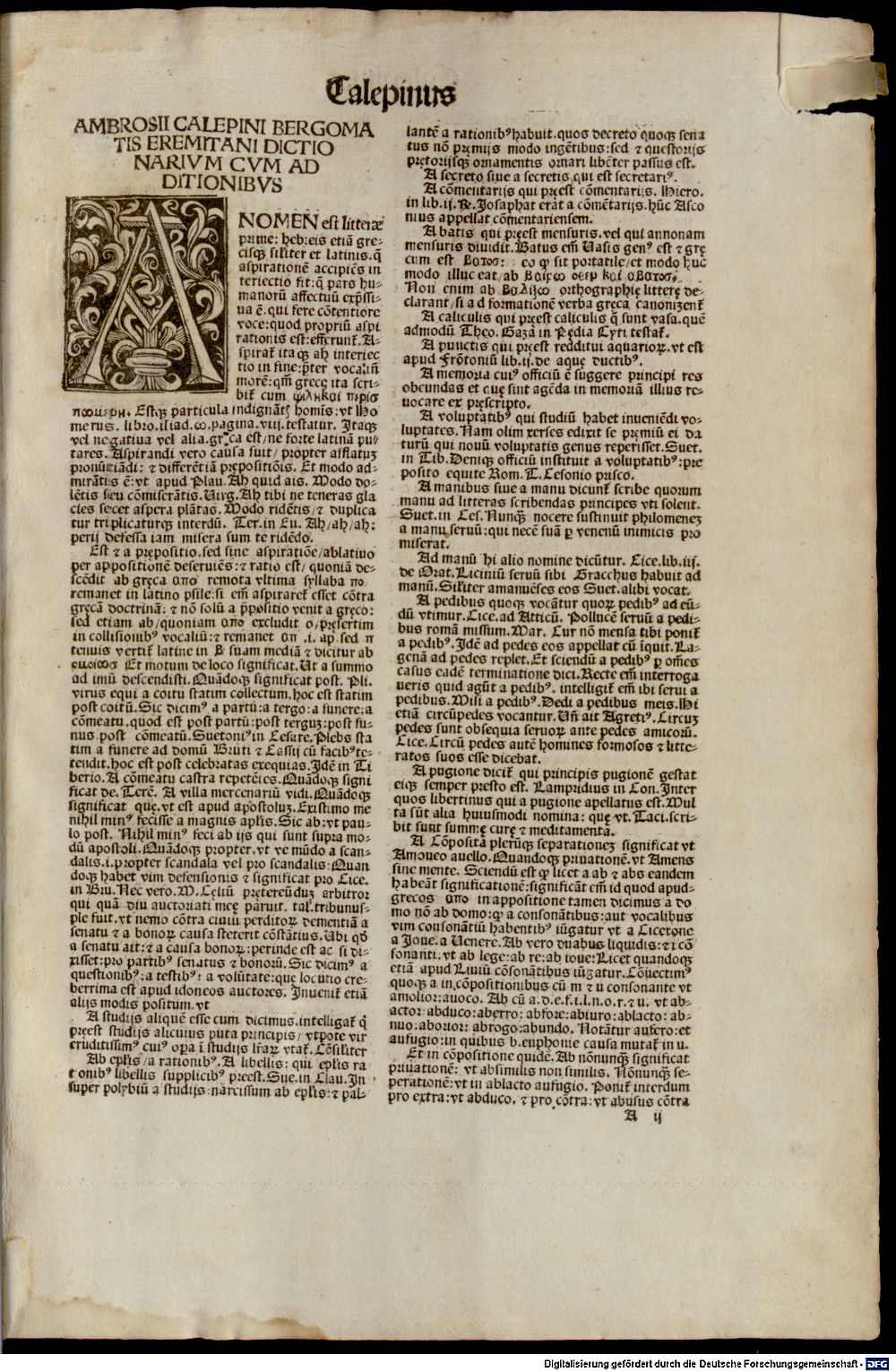Image