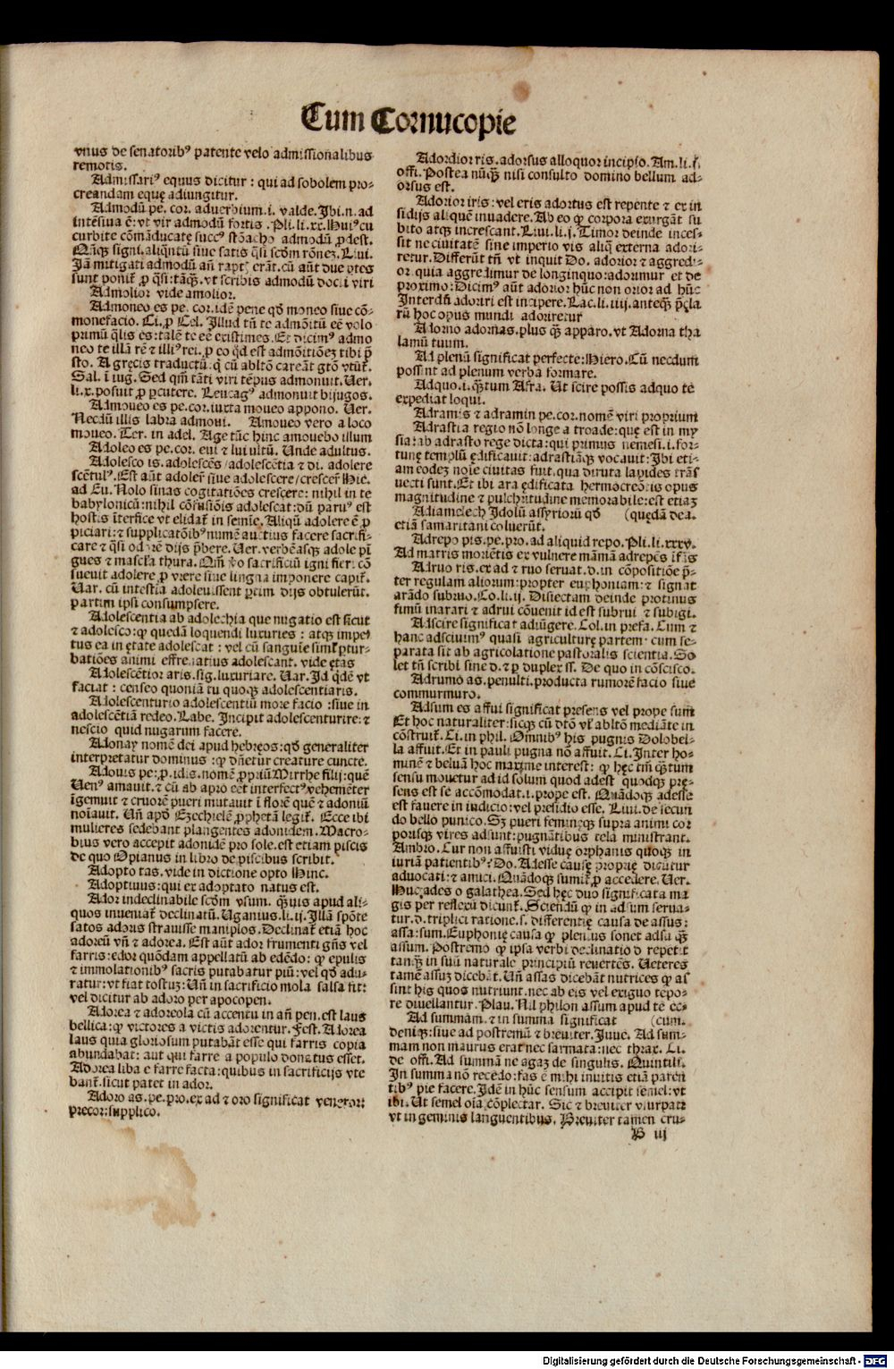 Image