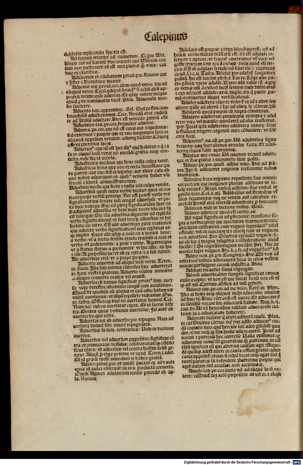 Image