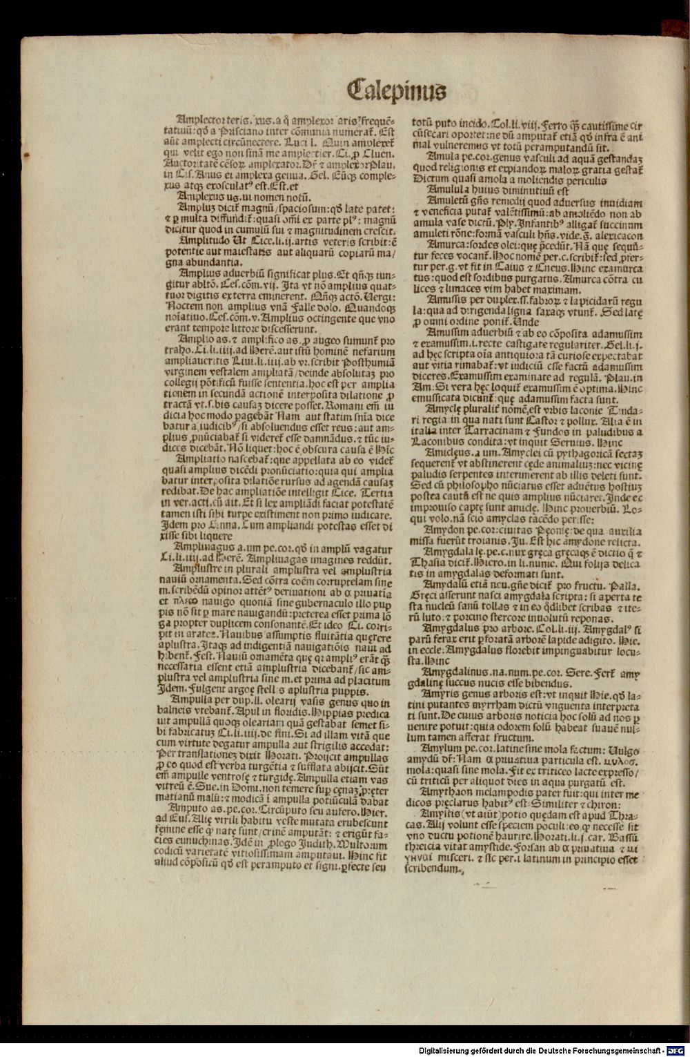 Image