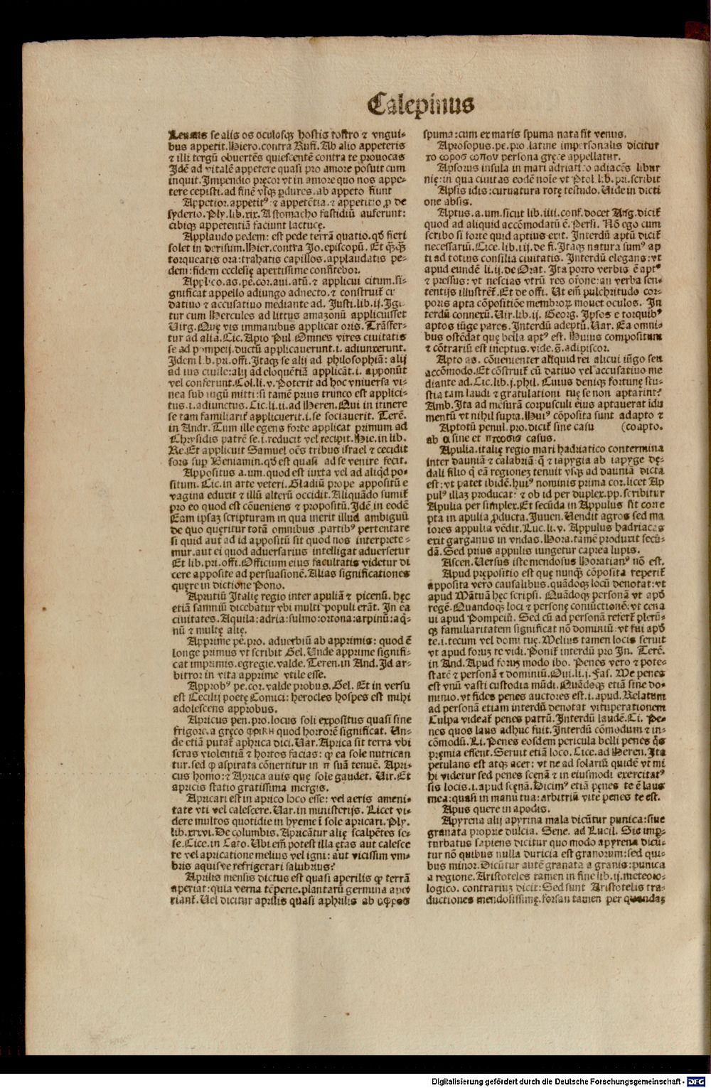 Image