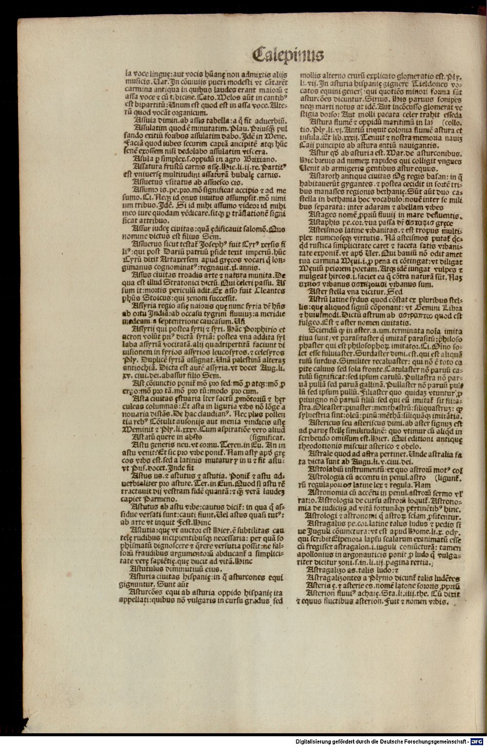 Image