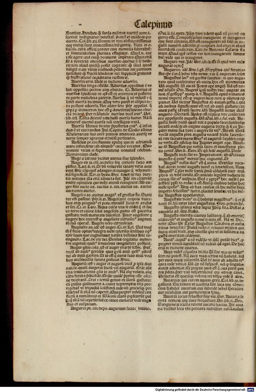 Image