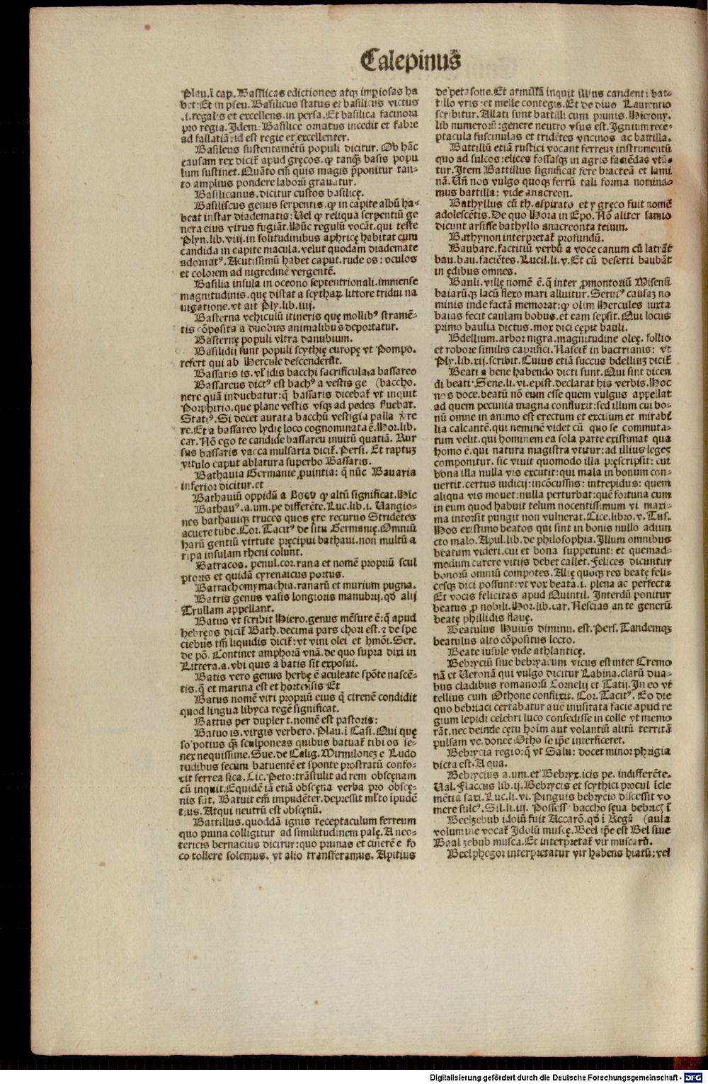 Image