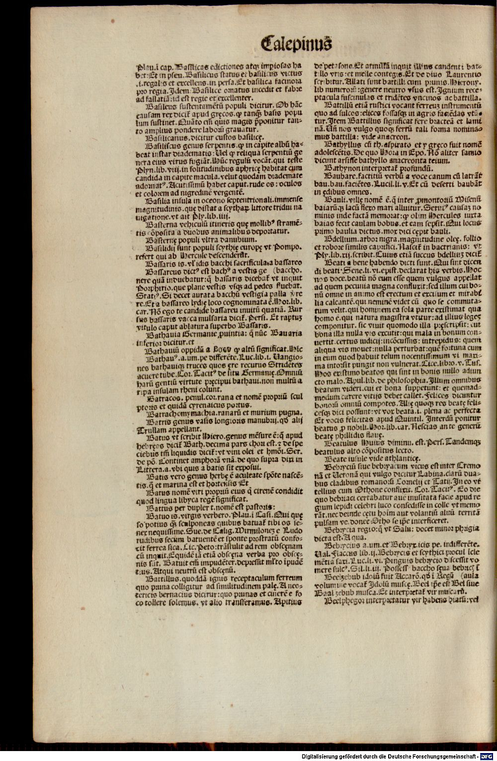 Image