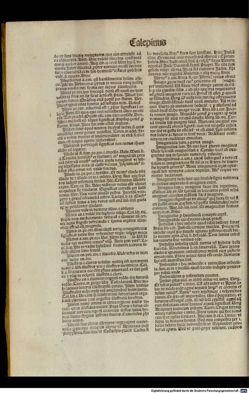 Image