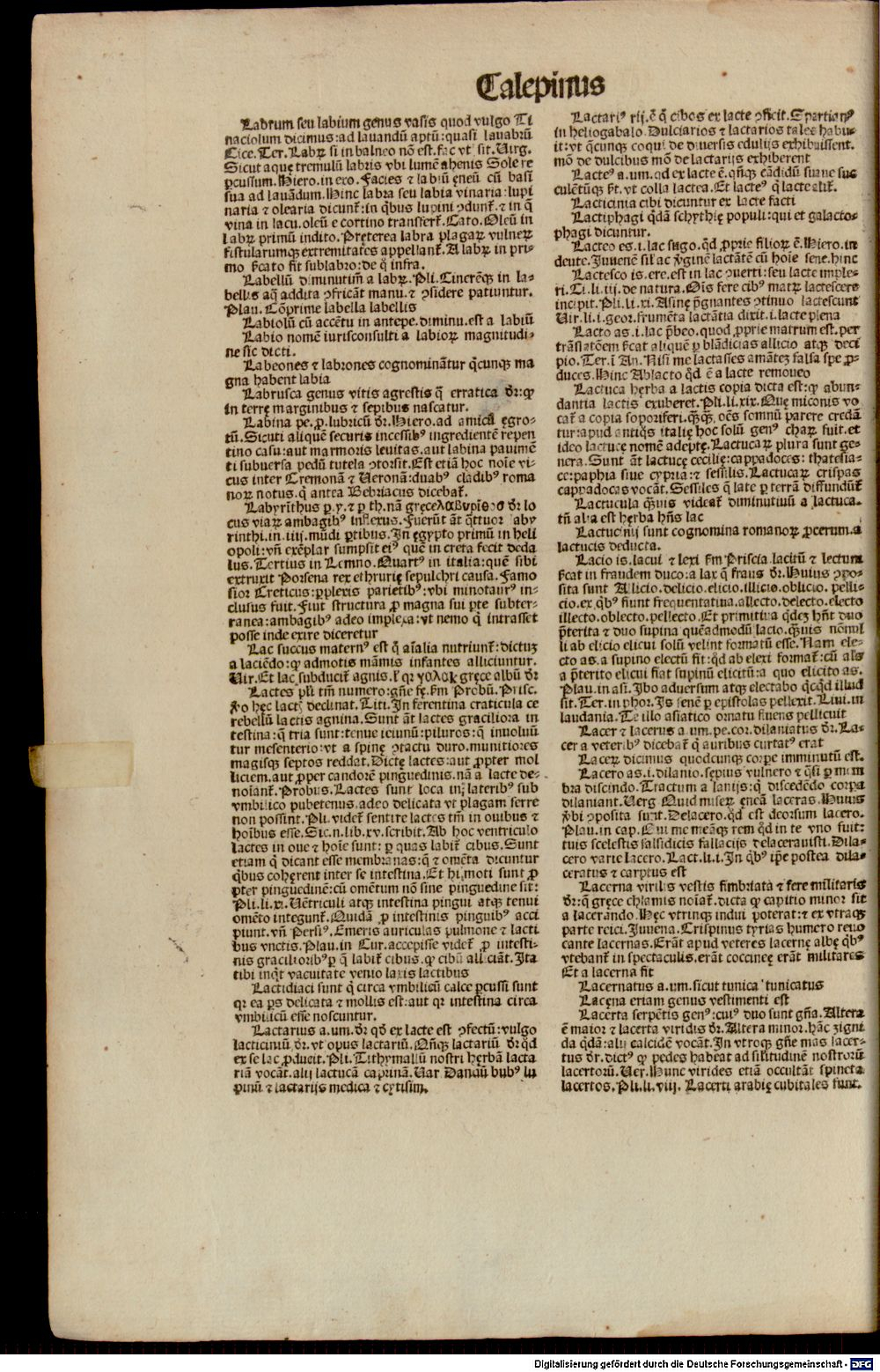 Image
