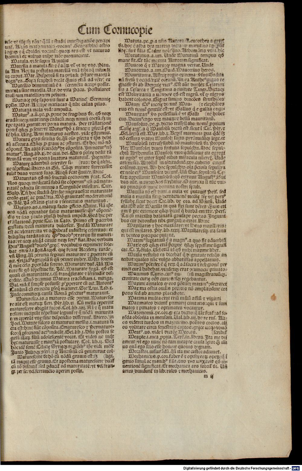 Image