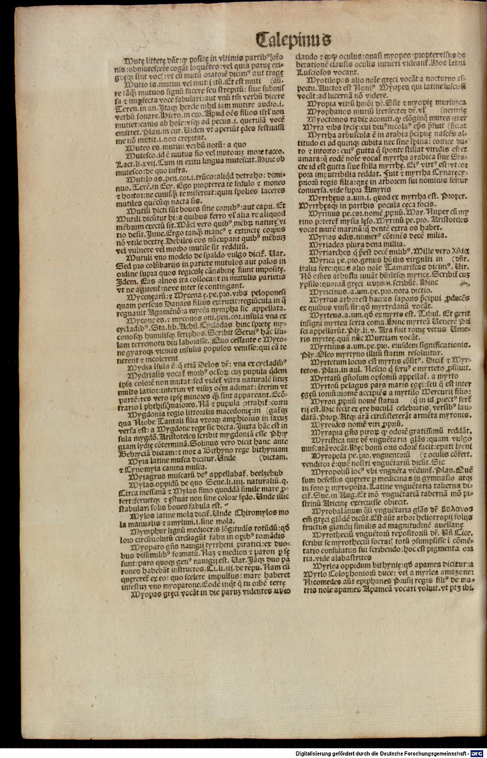 Image