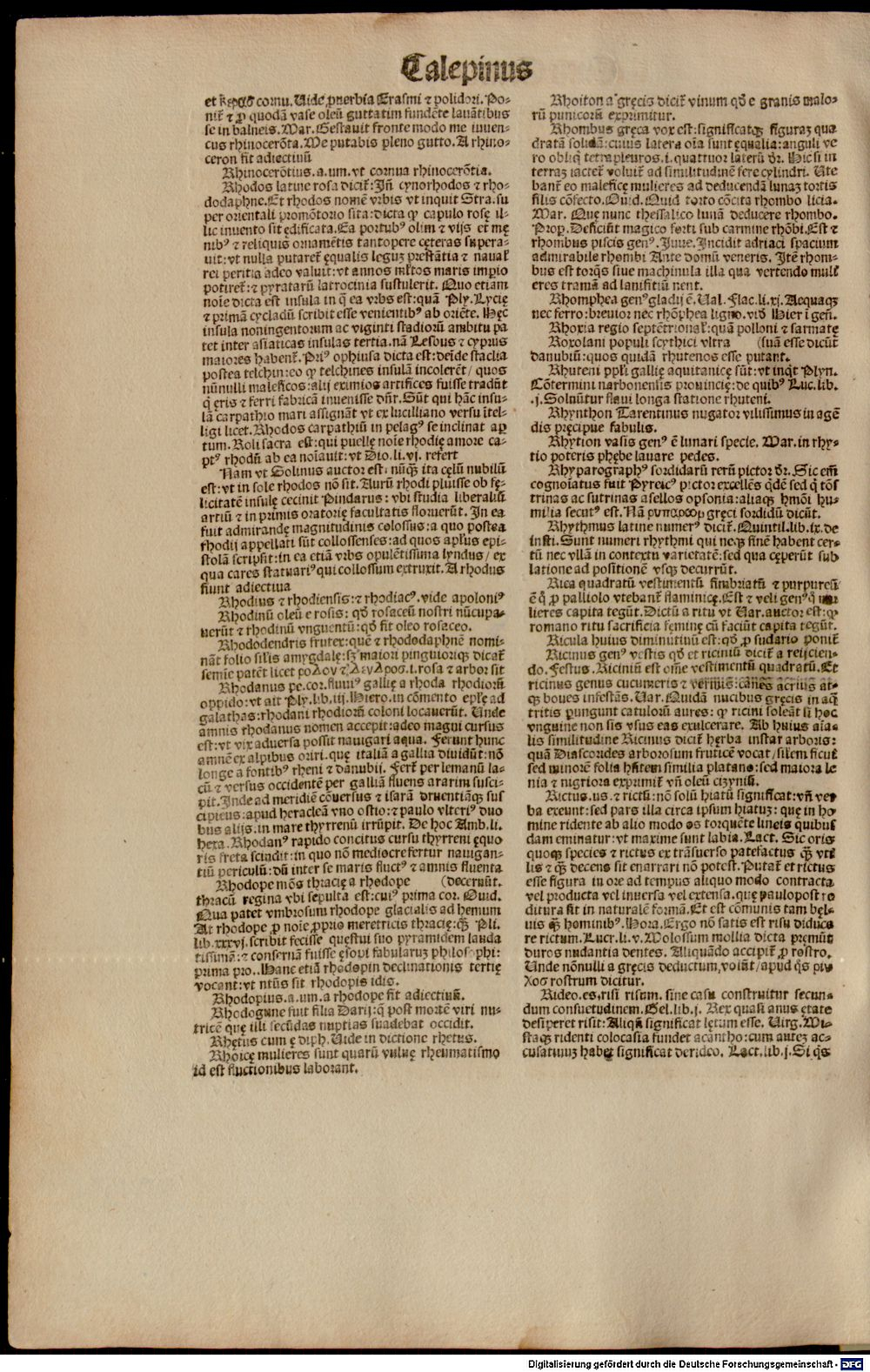Image