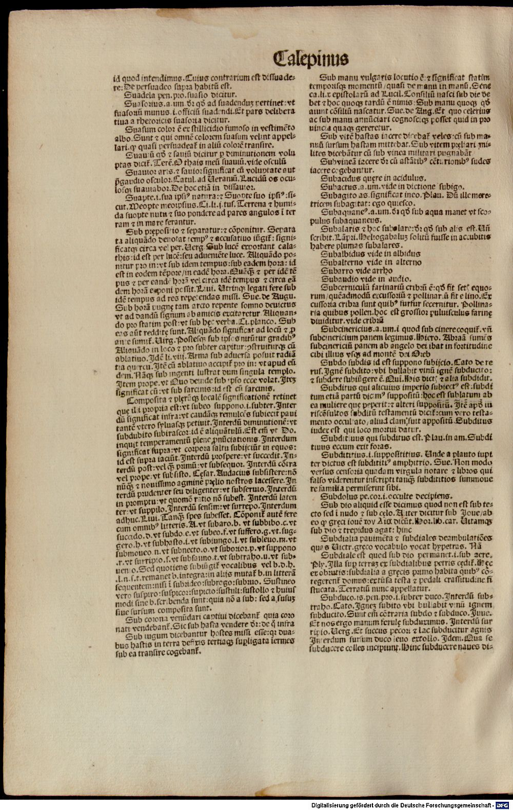 Image