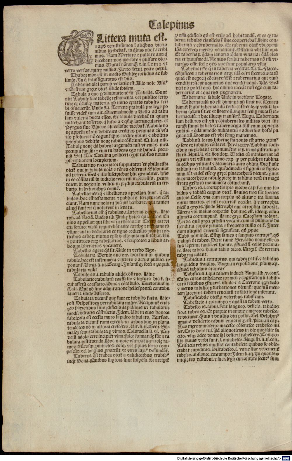 Image