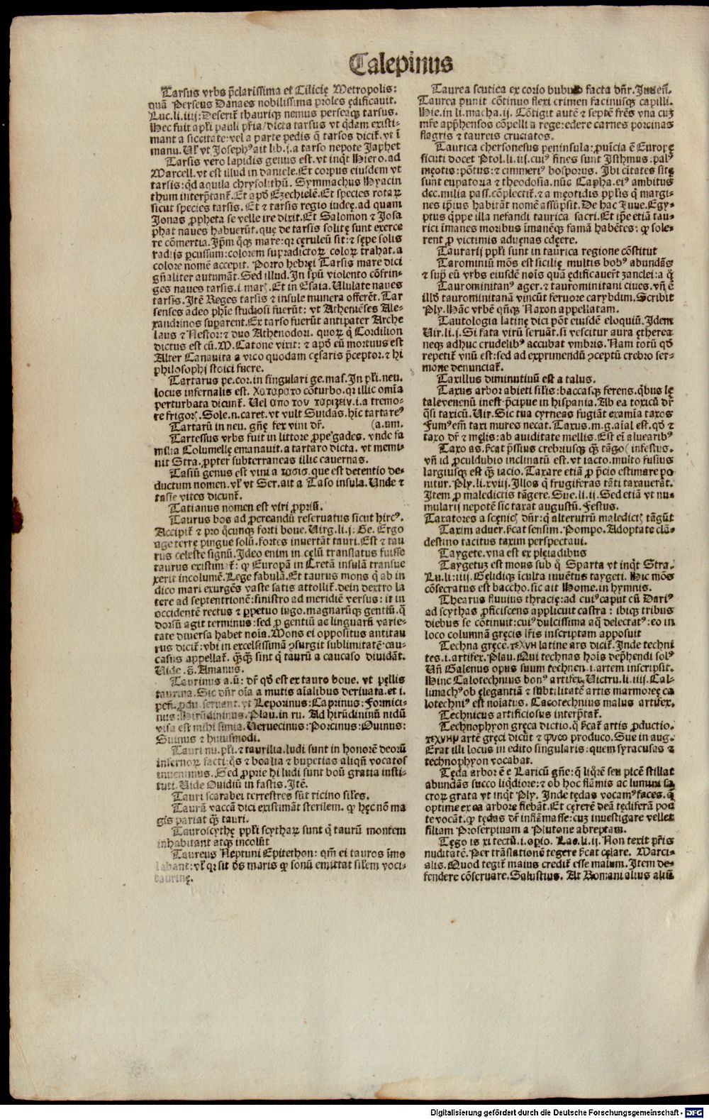 Image