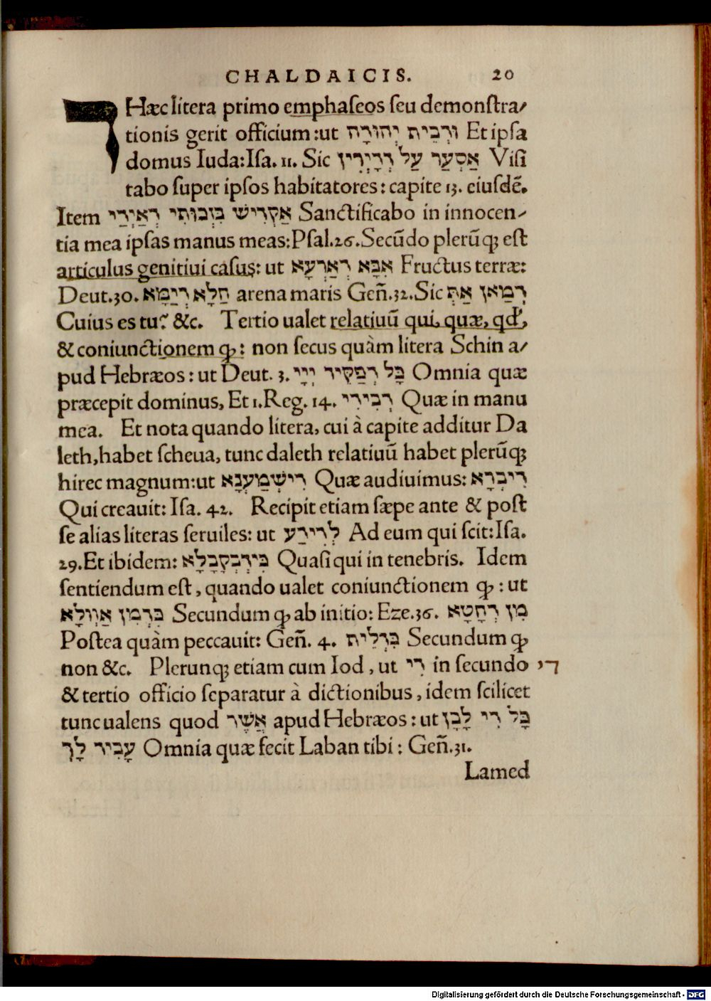 Image