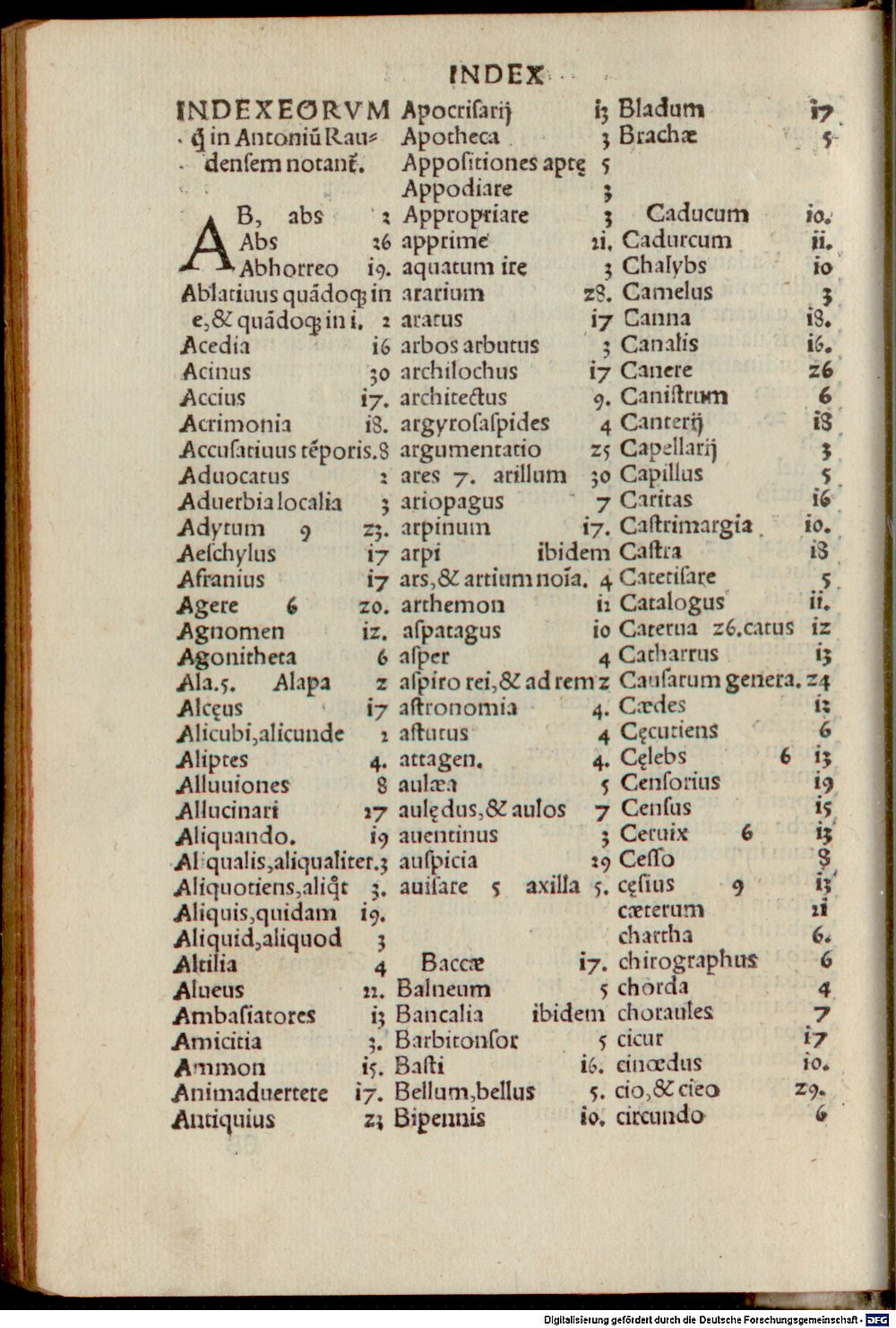 Image