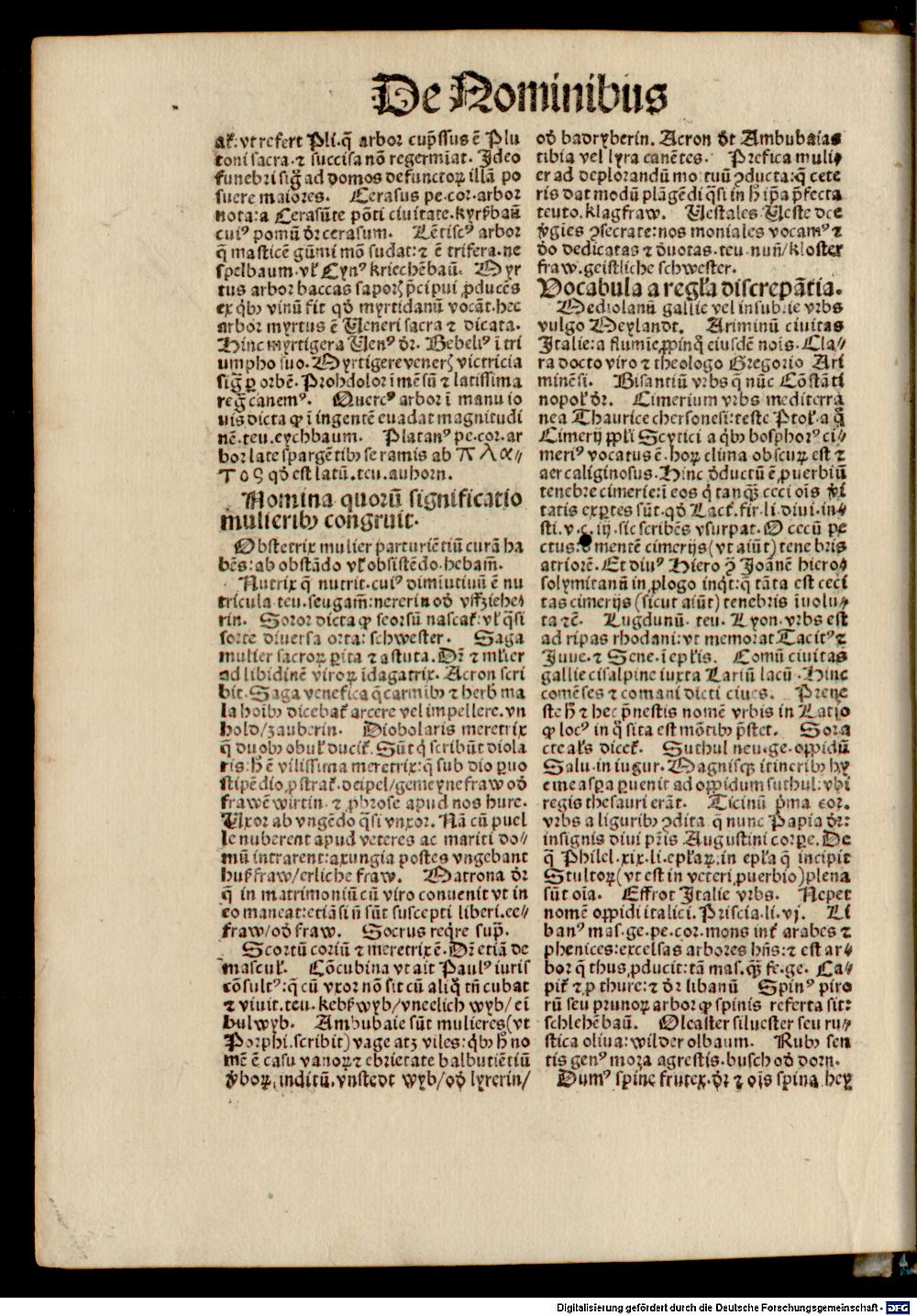 Image