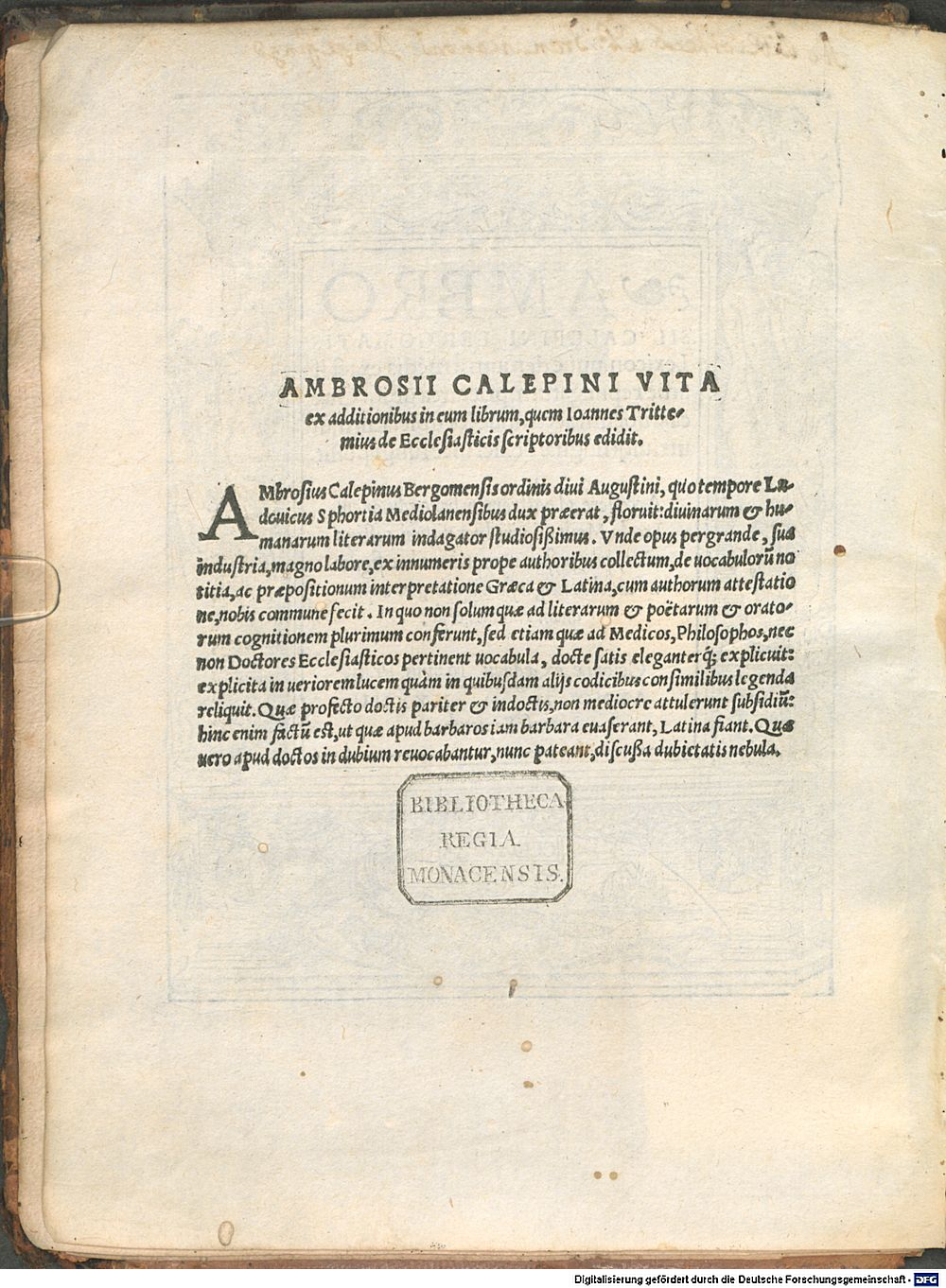 Image