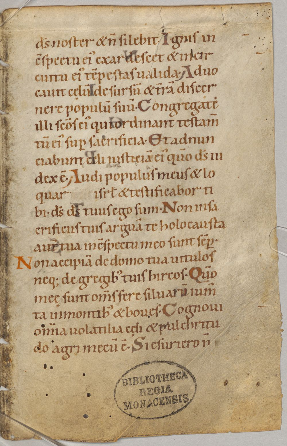 Image