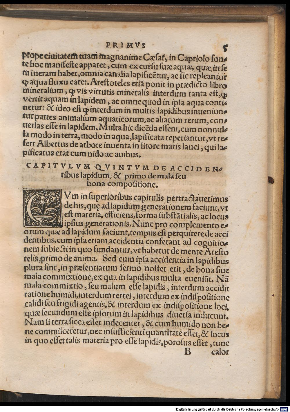Image