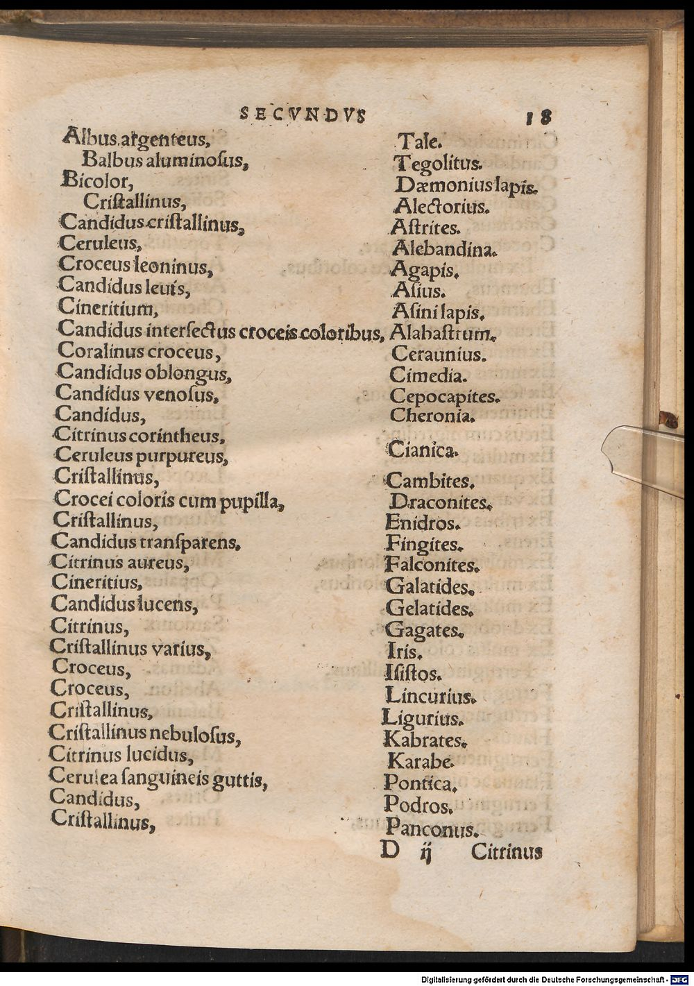 Image