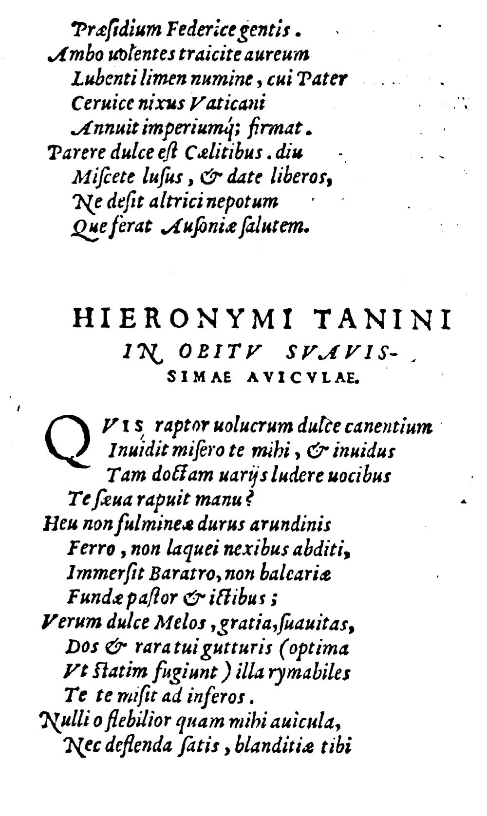 Image