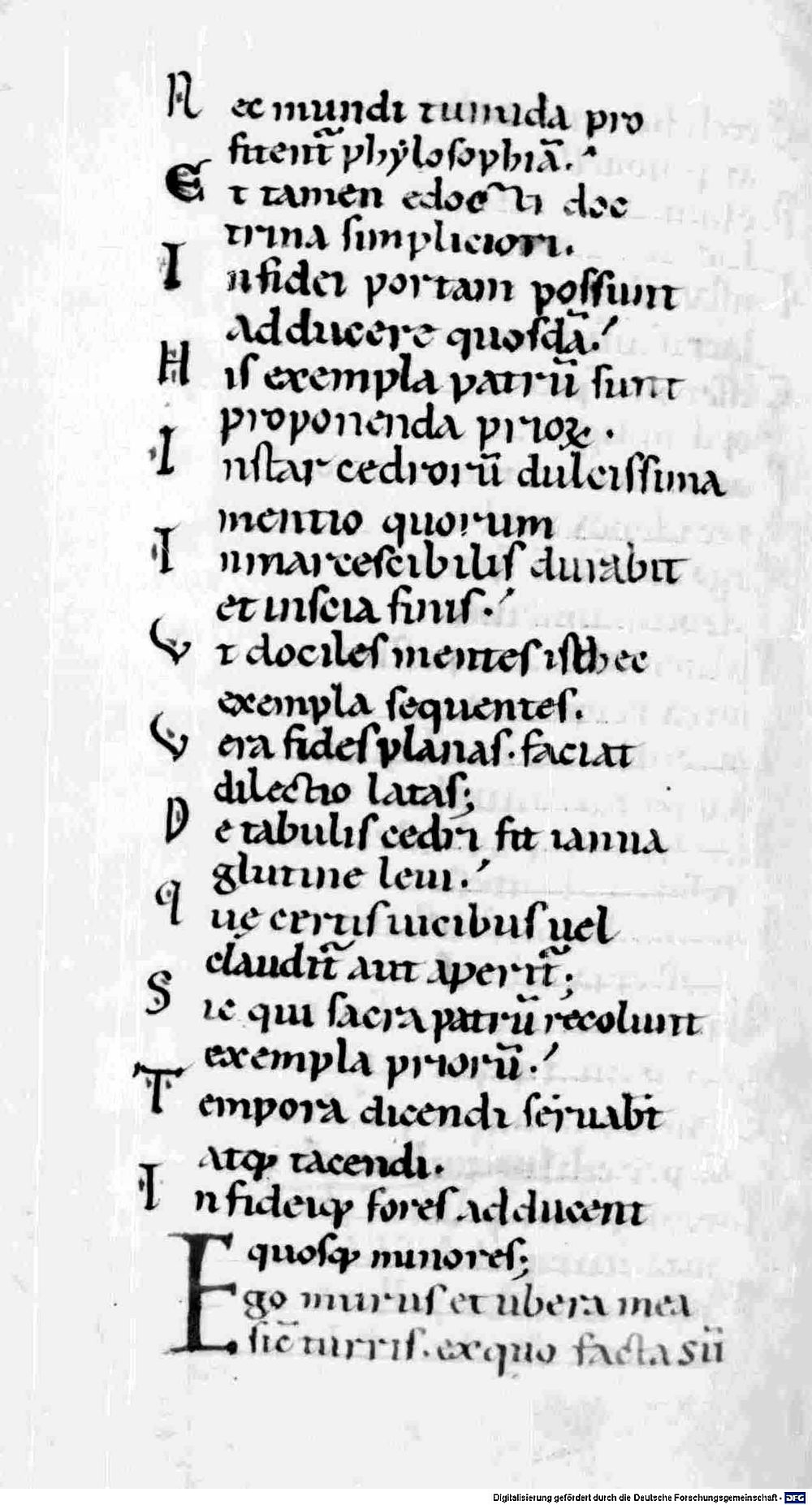 Image