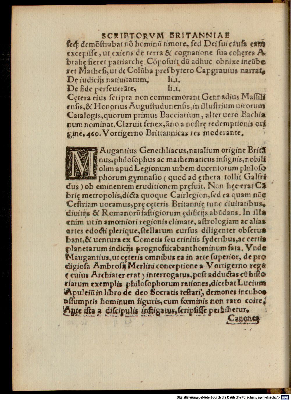 Image