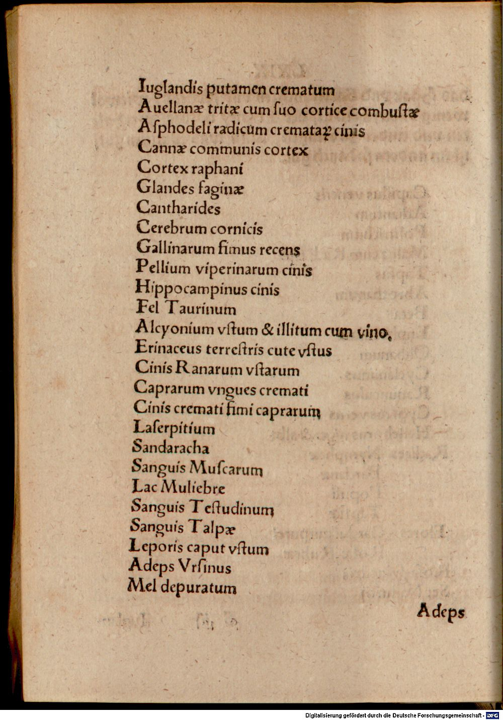 Image