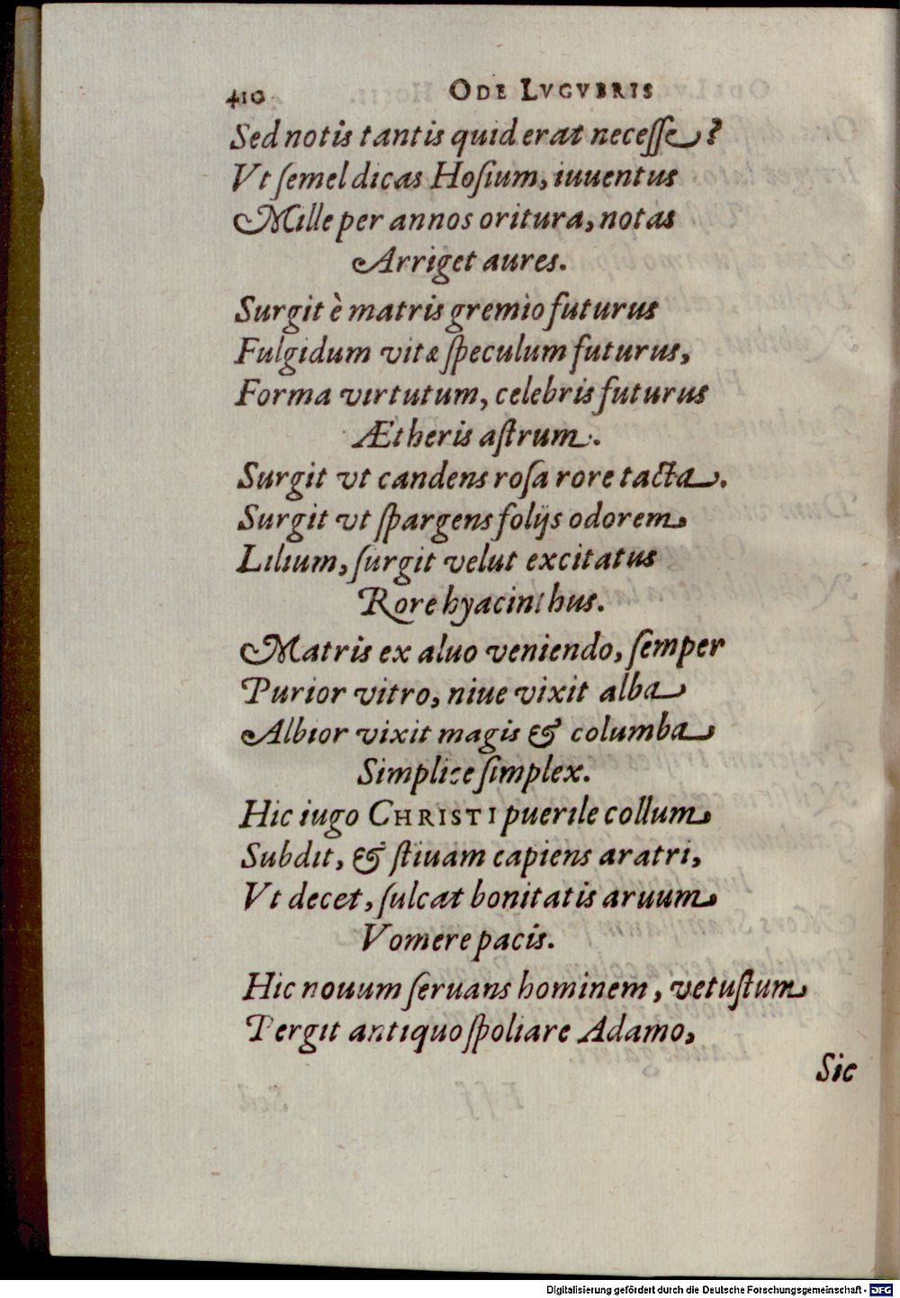 Image