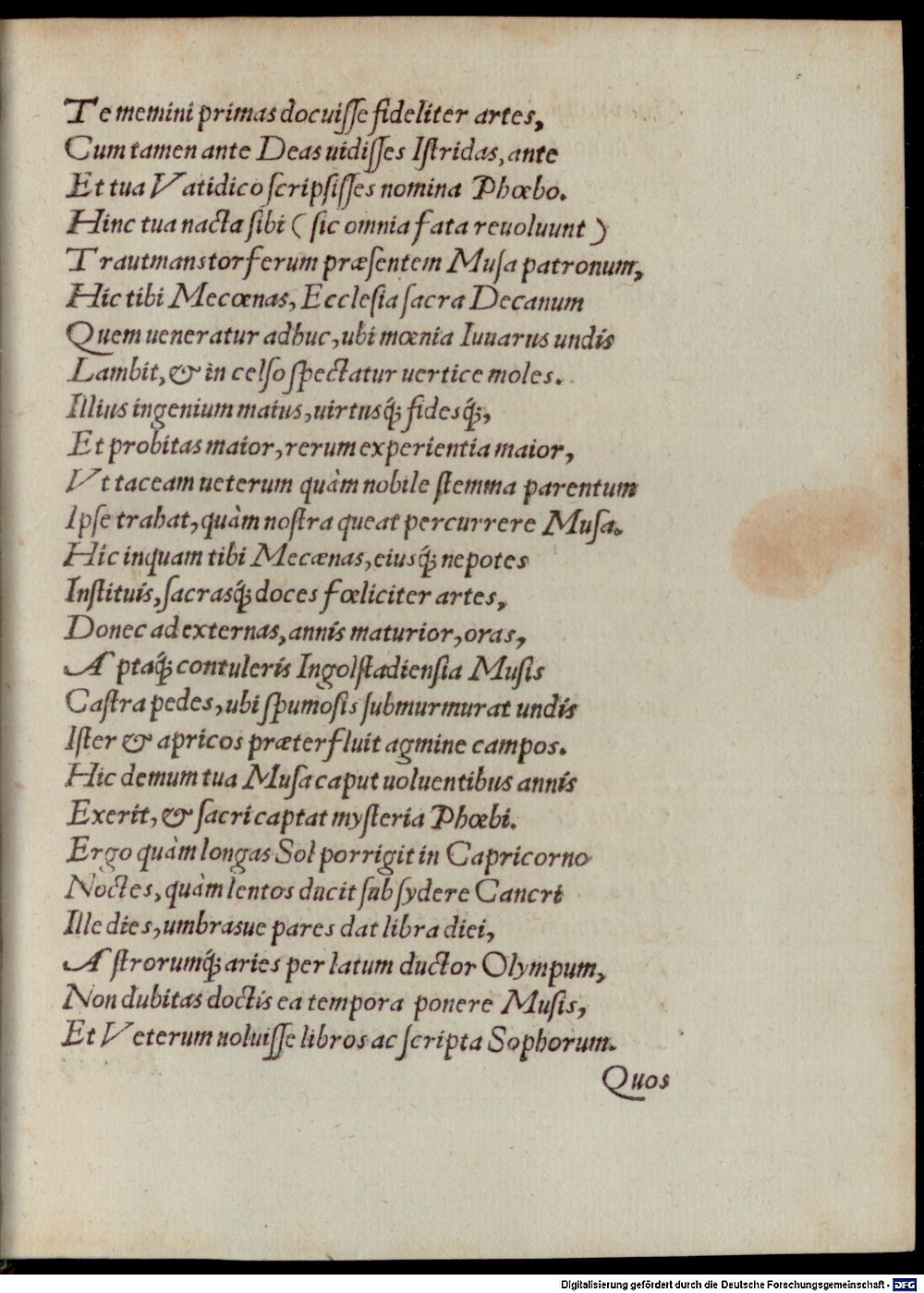 Image
