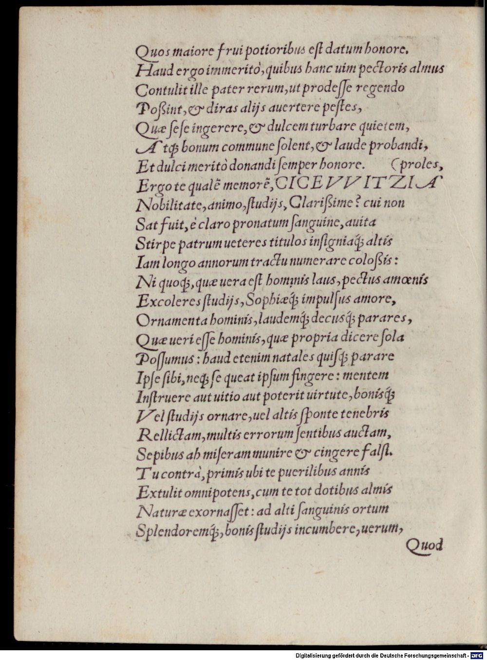 Image