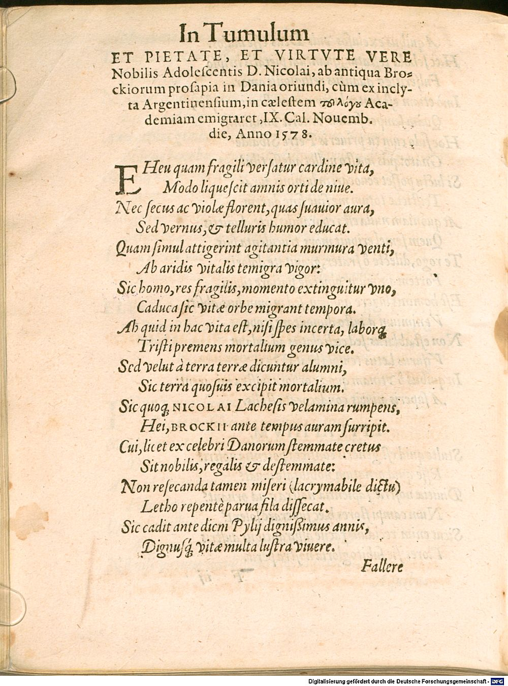 Image