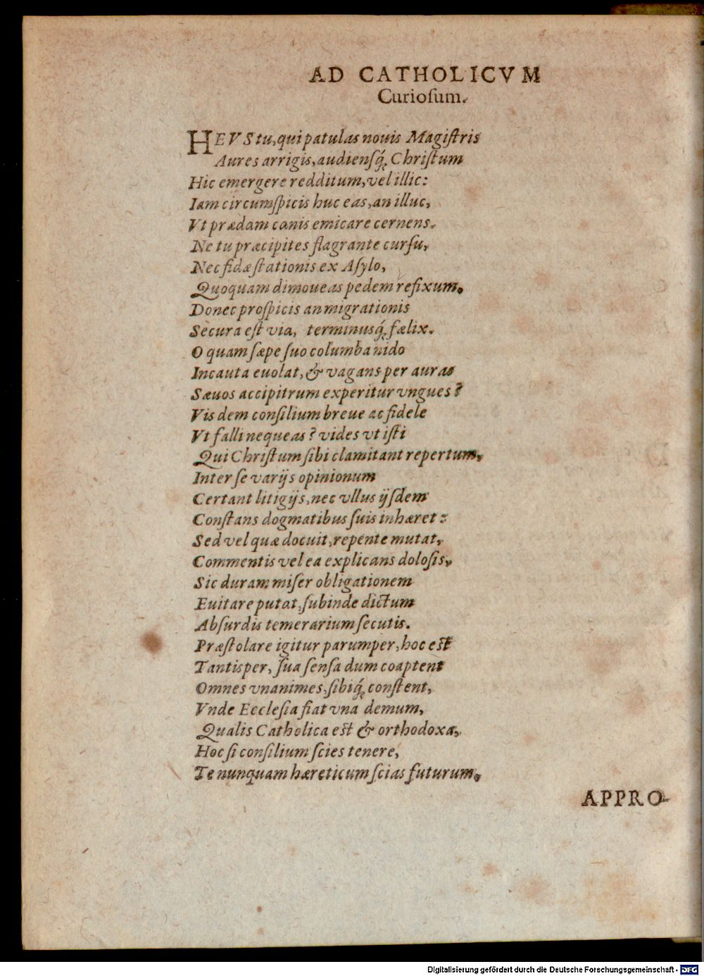 Image