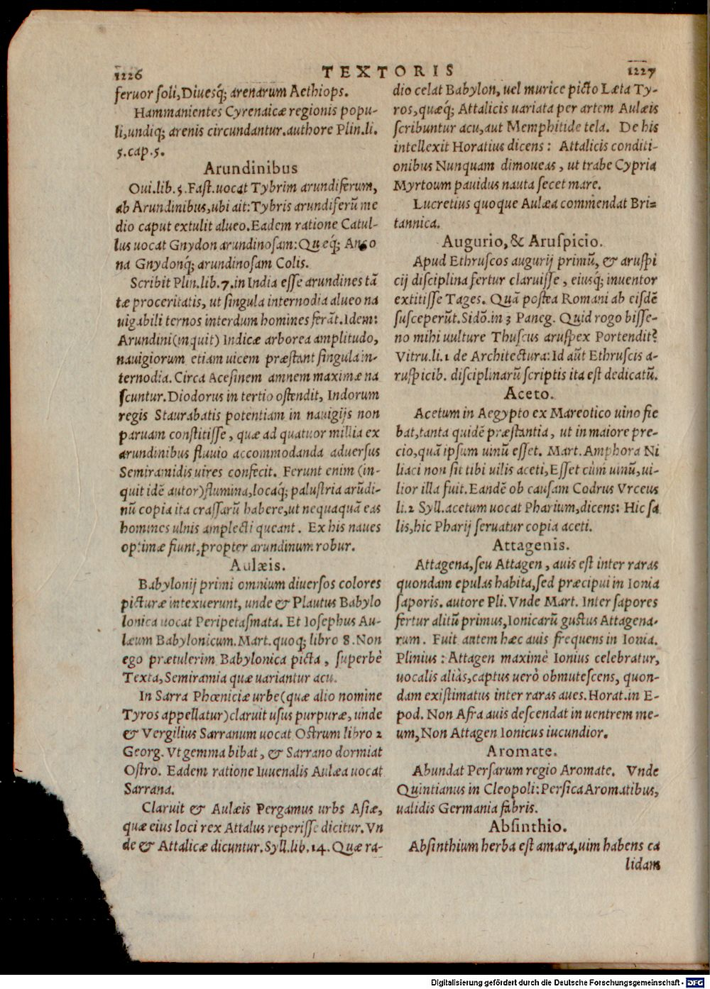 Image