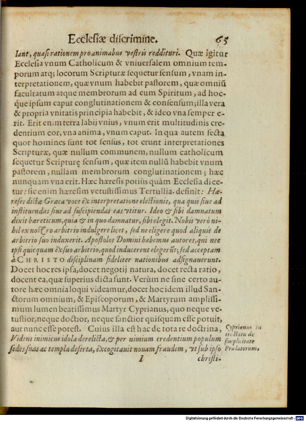 Image