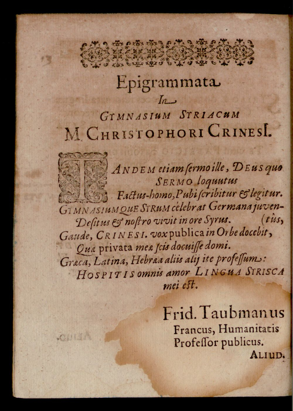 Image