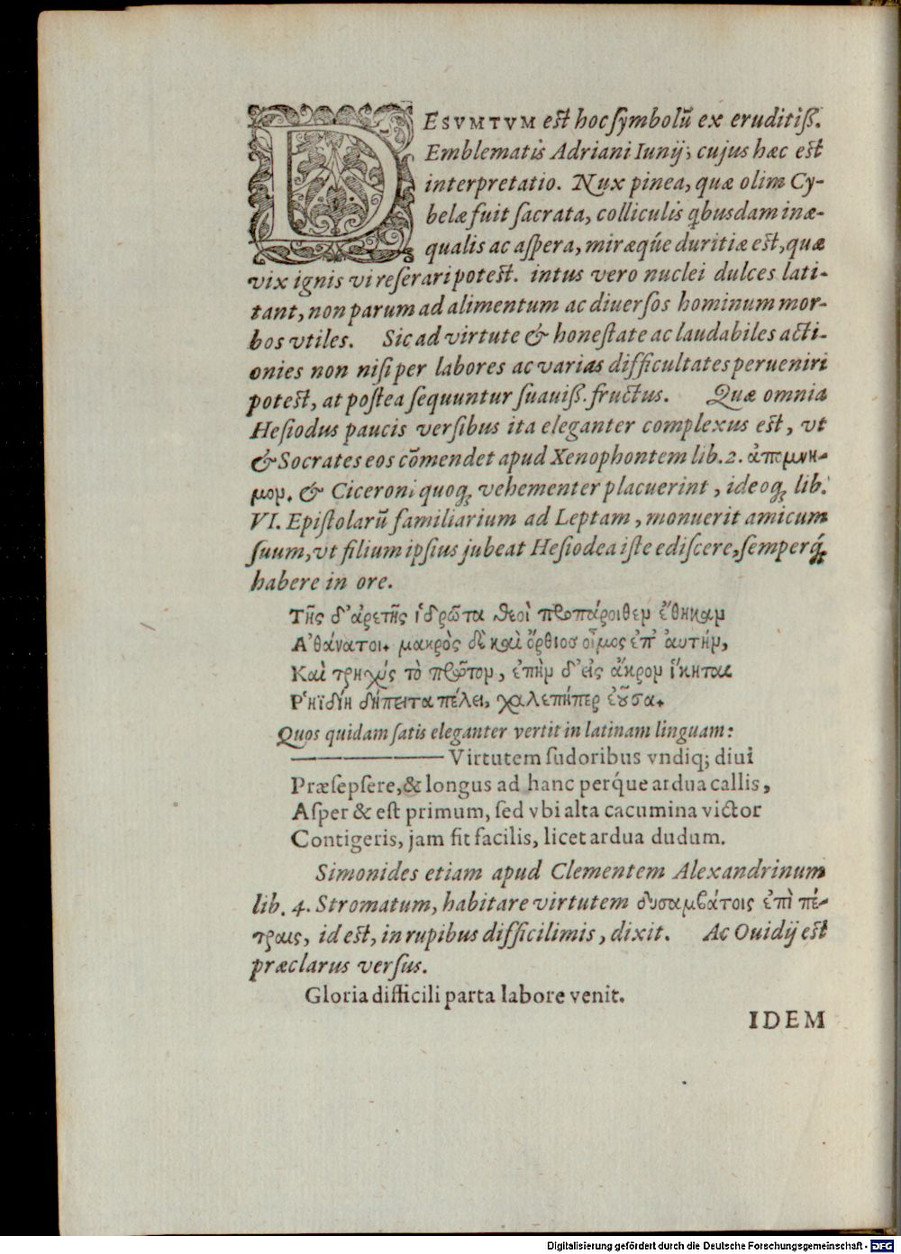 Image