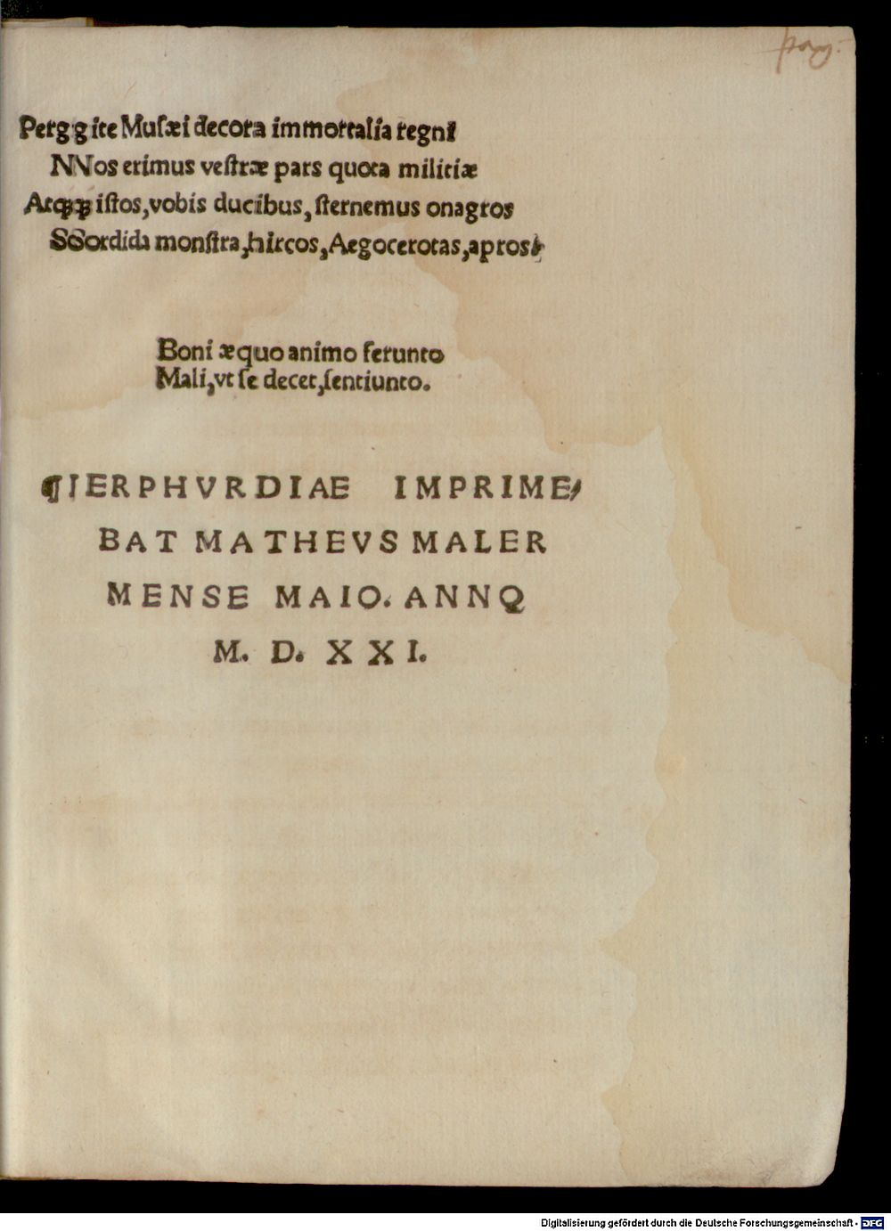 Image