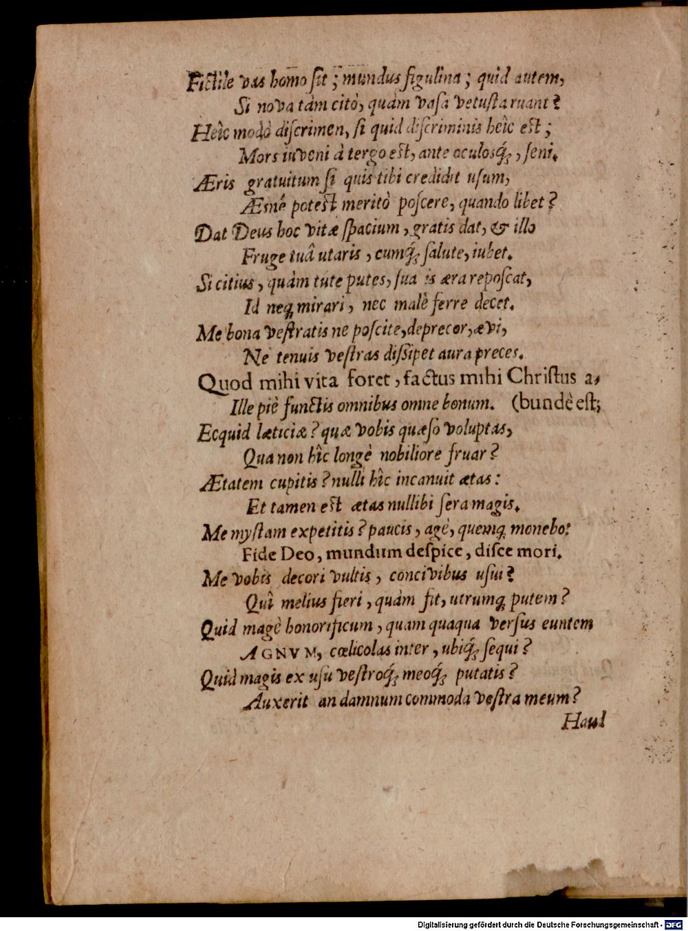 Image