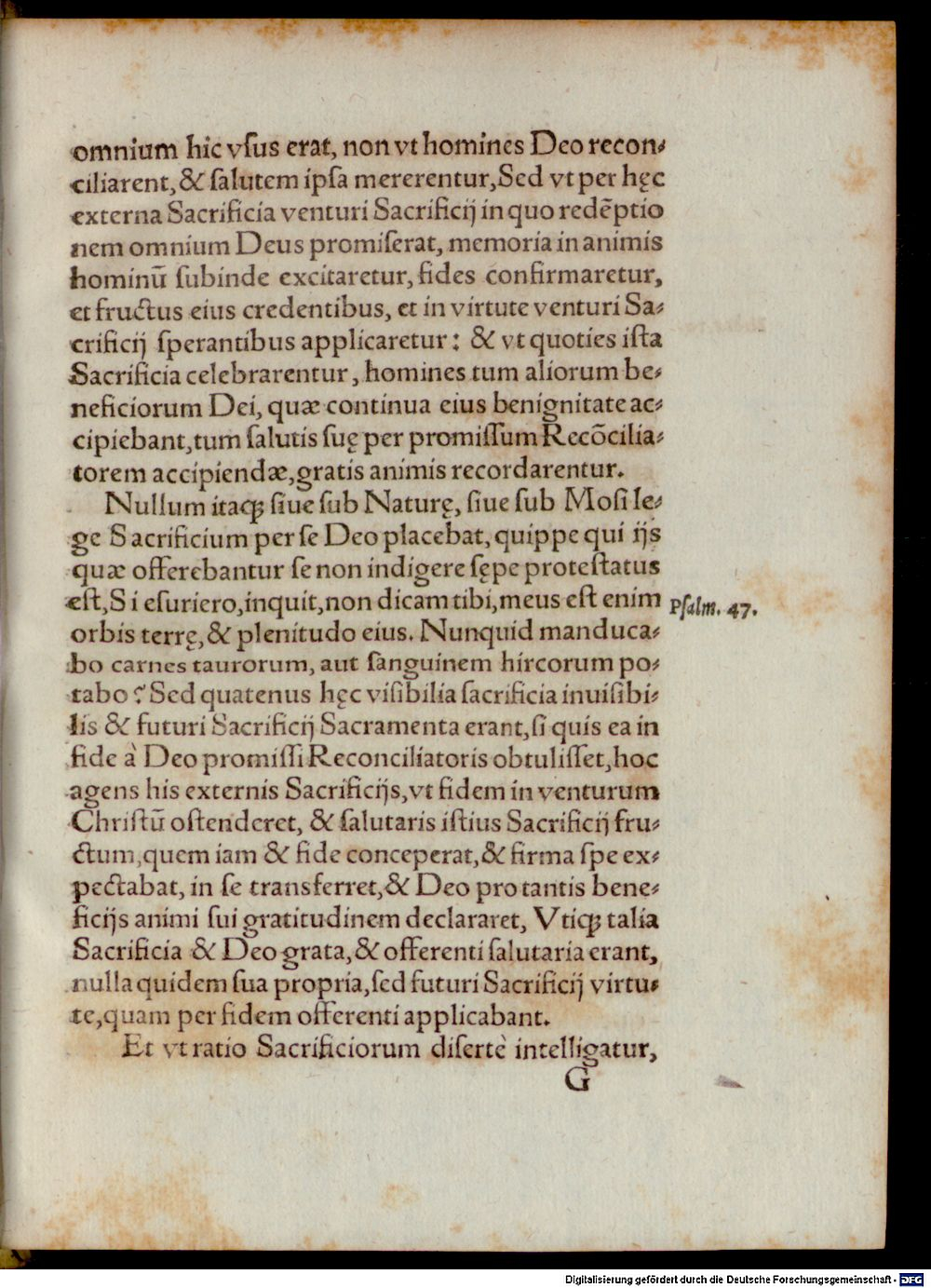 Image